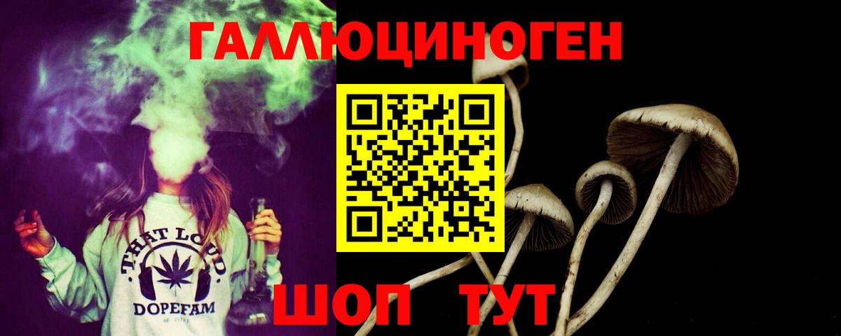 Псилоцибиновые грибы Psilocybine cubensis  Вход с VPN  Иваново 